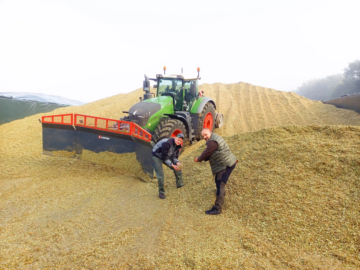 Agrargemeinschaft Holthusen e.G. - Landwirtschaftlicher - Ein Fendt-Traktor, ausgestattet mit einem großen Saphir-Silageschild, diente dazu, Maissilage zu einem großen Haufen zusammenzuschieben und zu verdichten.