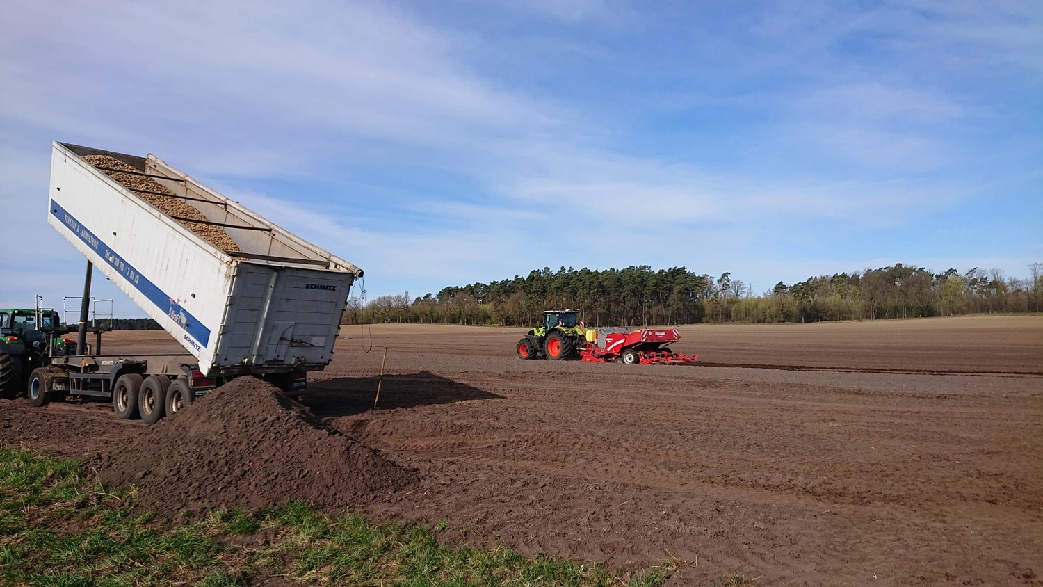 Agrargemeinschaft Holthusen e.G. - Landwirtschaftlicher - Landwirtschaftliche Szene, die die Ernte und den Transport von Wurzelgemüse zeigt