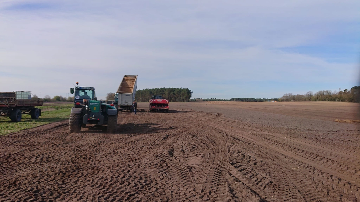 Agrargemeinschaft Holthusen e.G. - Landwirtschaftlicher - Landwirtschaftliche Szene, die die Ernte und den Transport von Wurzelgemüse zeigt