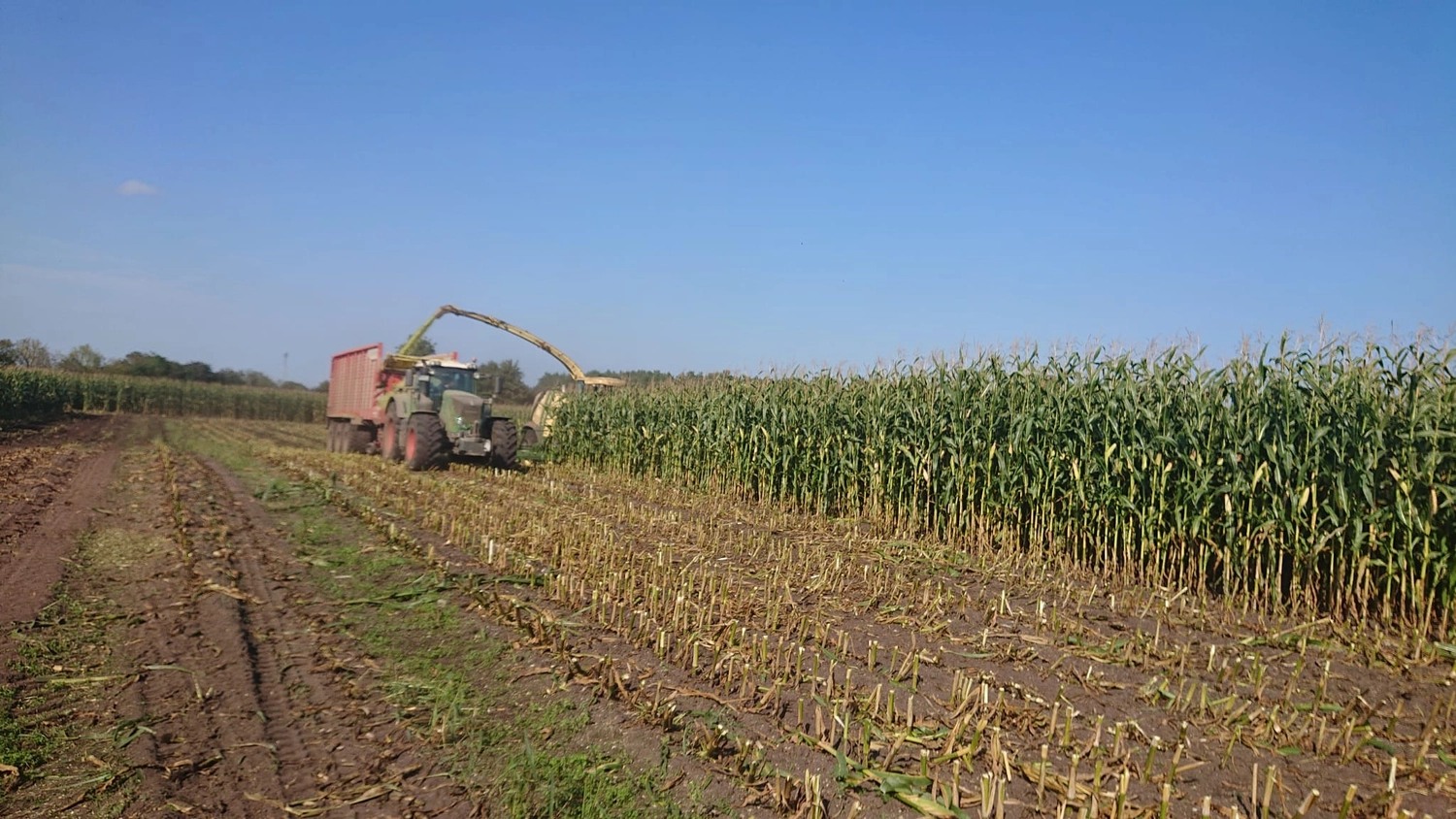 Agrargemeinschaft Holthusen e.G. - Landwirtschaftlicher - Landwirtschaftliche Maschinen bei der Maisernte.