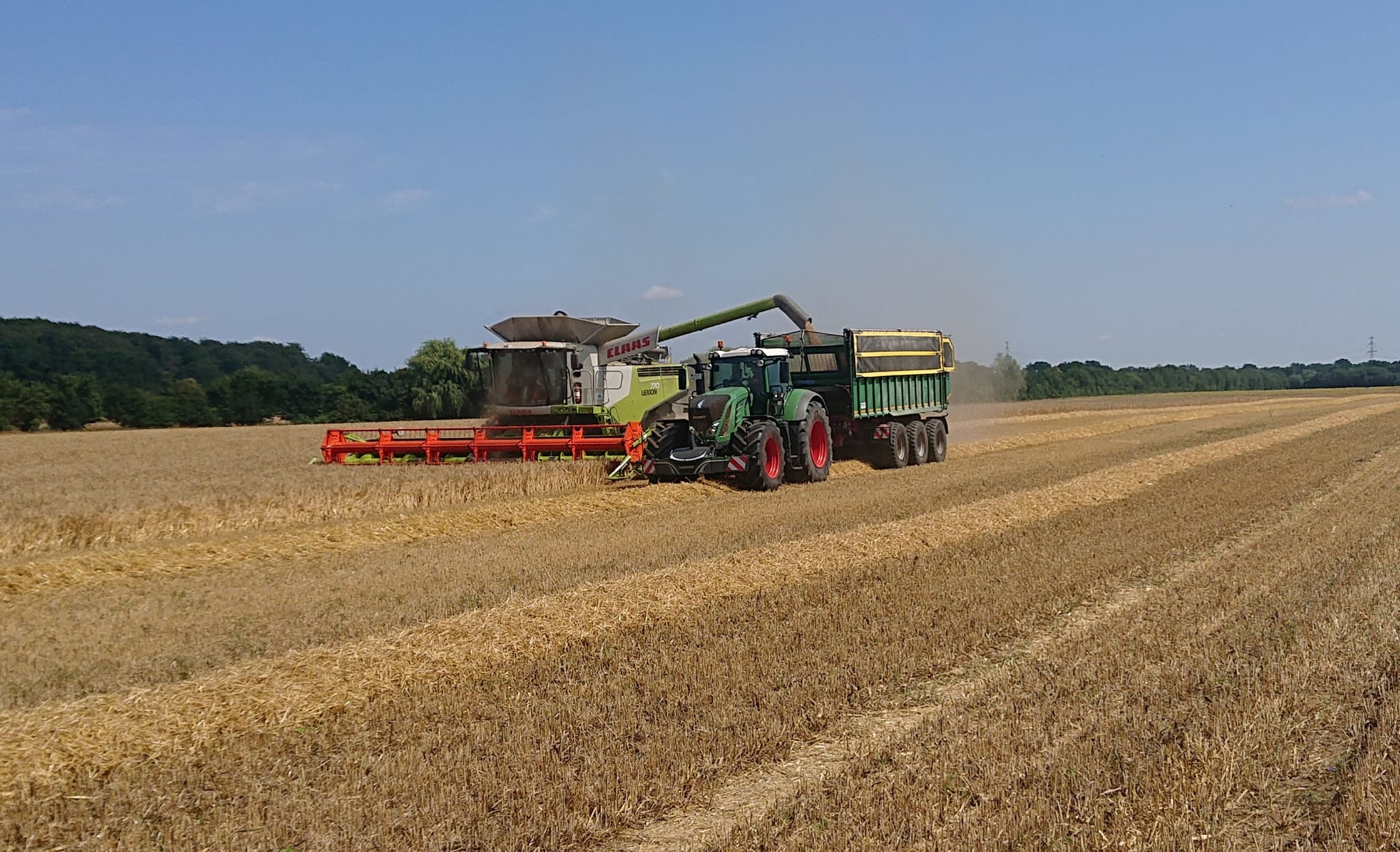 Agrargemeinschaft Holthusen e.G. - Landwirtschaftlicher - Mähdrescher und Traktor mit Körnerkorb bei der Getreideernte