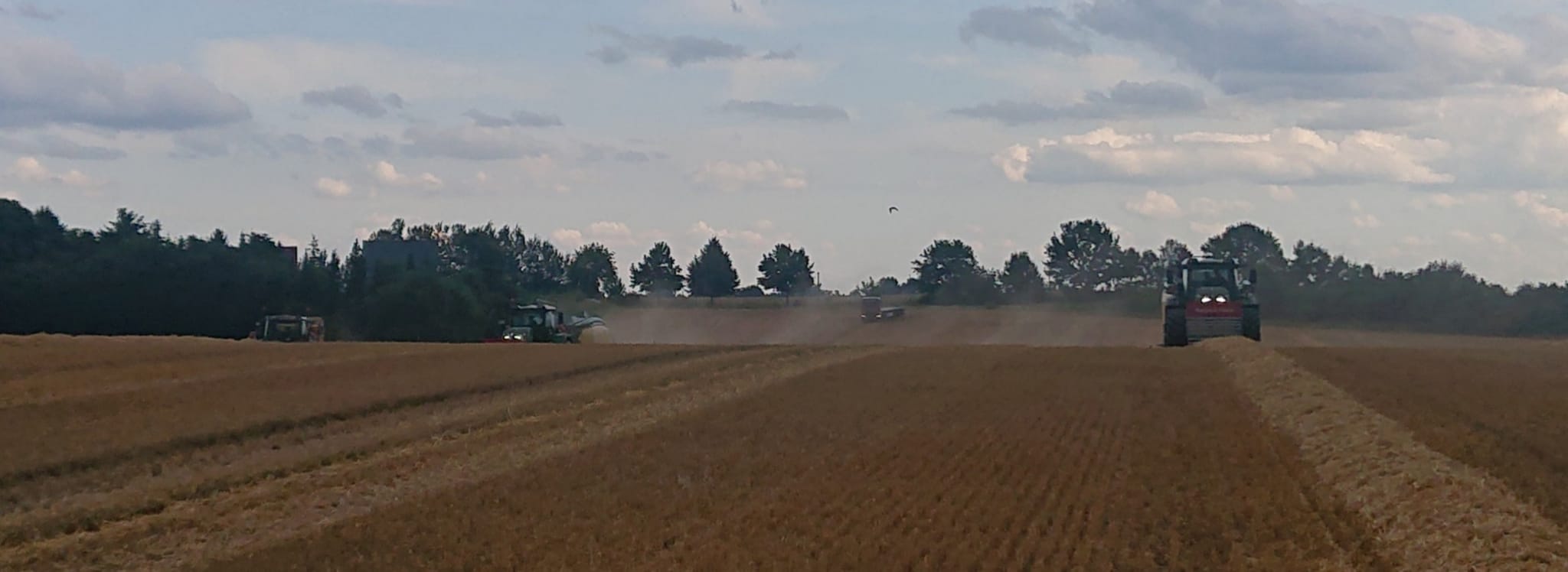 Agrargemeinschaft Holthusen e.G. - Landwirtschaftlicher - Panorama des Getreidefelds mit Erntemaschinen in der Abendstimmung