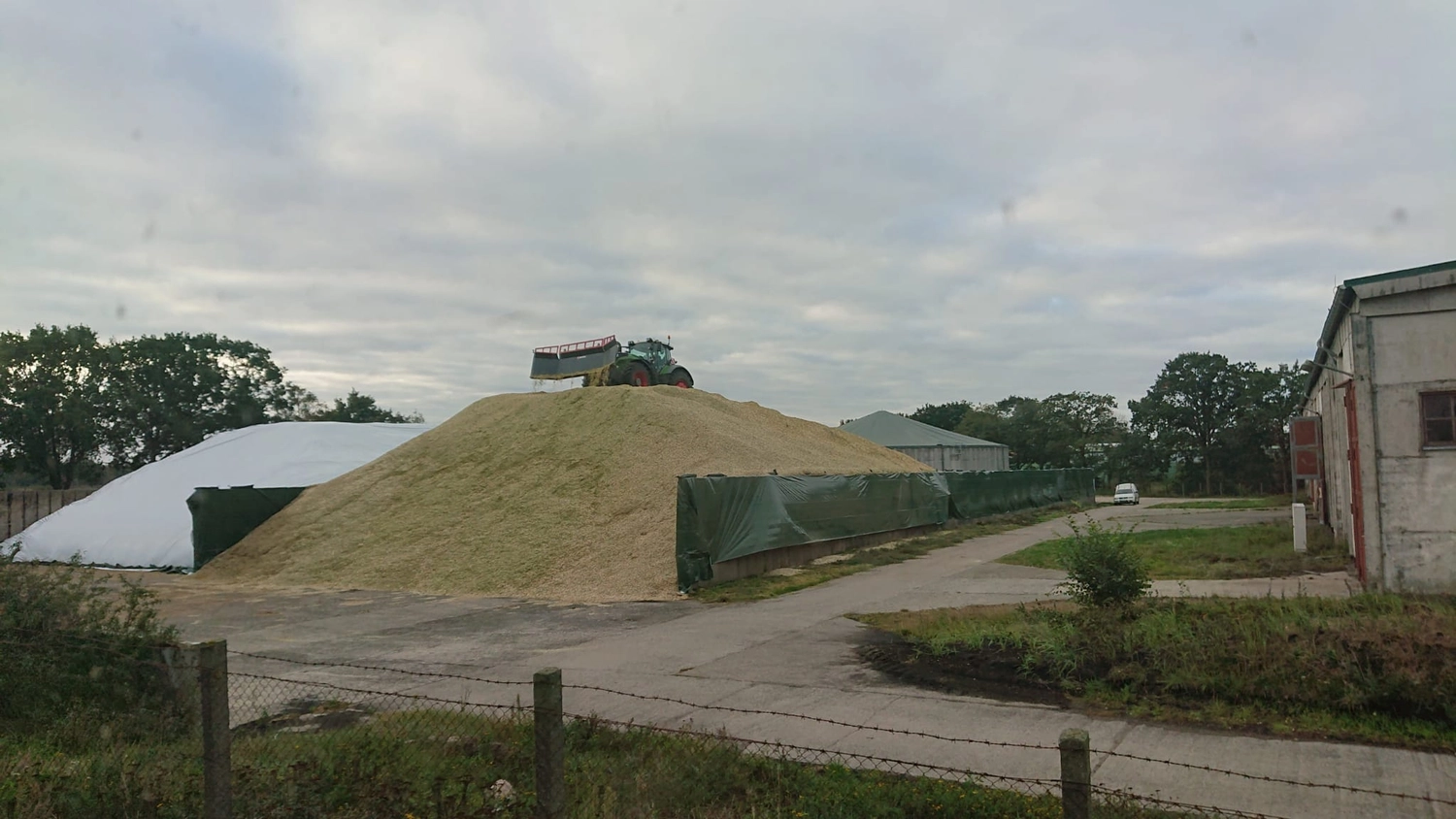 Agrargemeinschaft Holthusen e.G. - Landwirtschaftlicher - Fendt Vario Traktoren