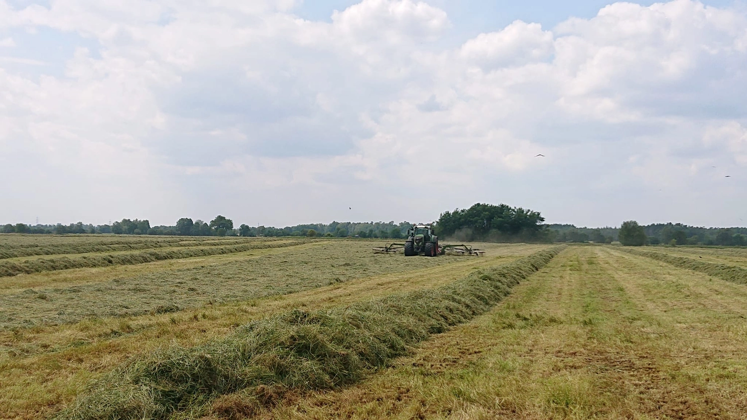 Agrargemeinschaft Holthusen e.G. - Landwirtschaftlicher - Fendt Vario Traktoren