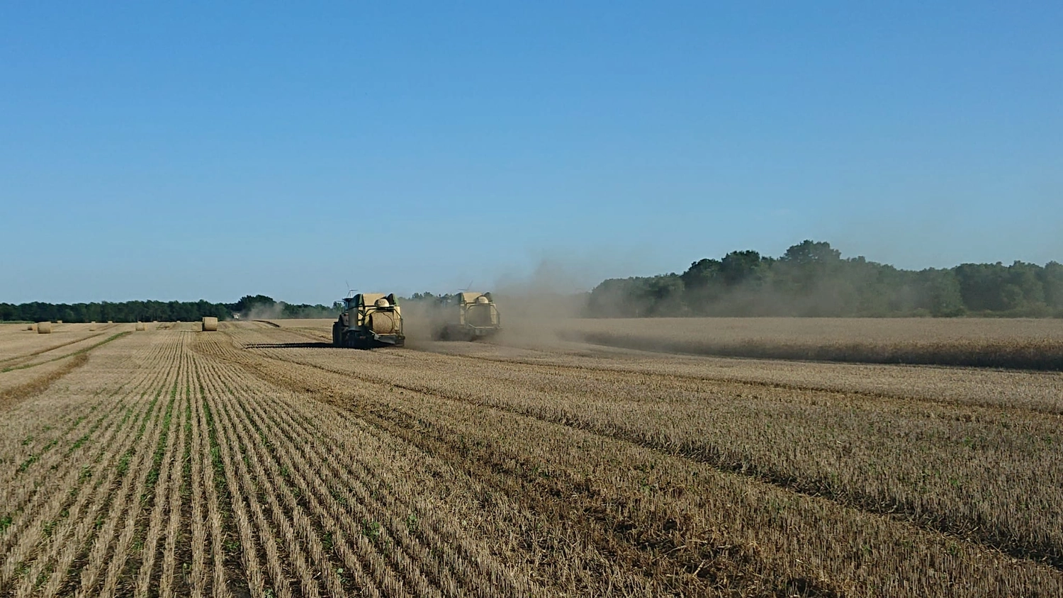 Agrargemeinschaft Holthusen e.G. - Landwirtschaftlicher - Fendt Vario Traktoren